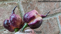 Pockmark Peach - Pepper Seeds - White Hot Peppers